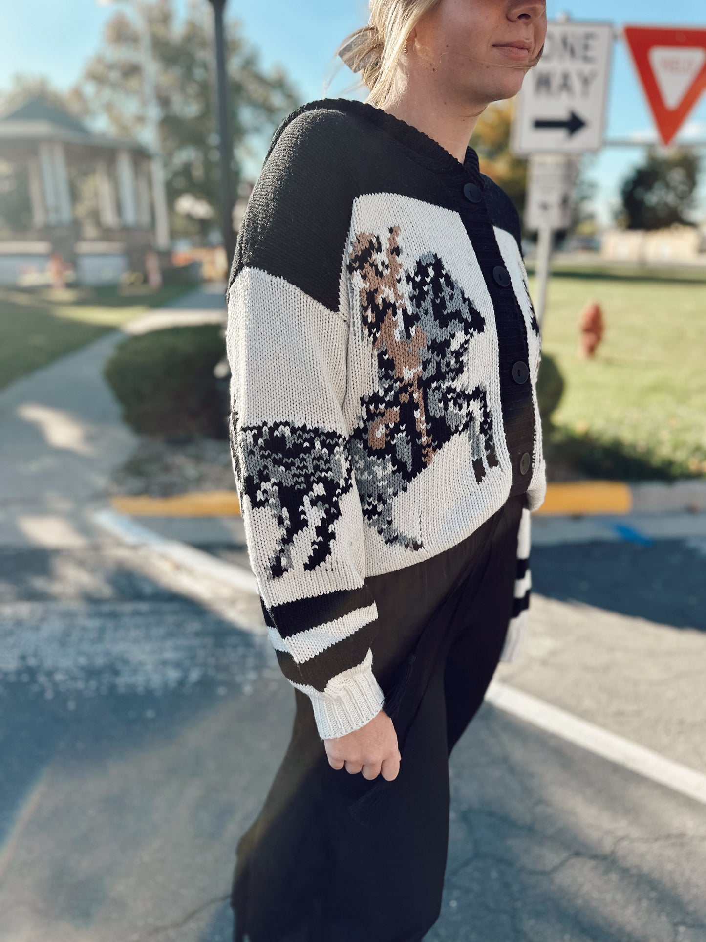 The Absarokee Cardigan