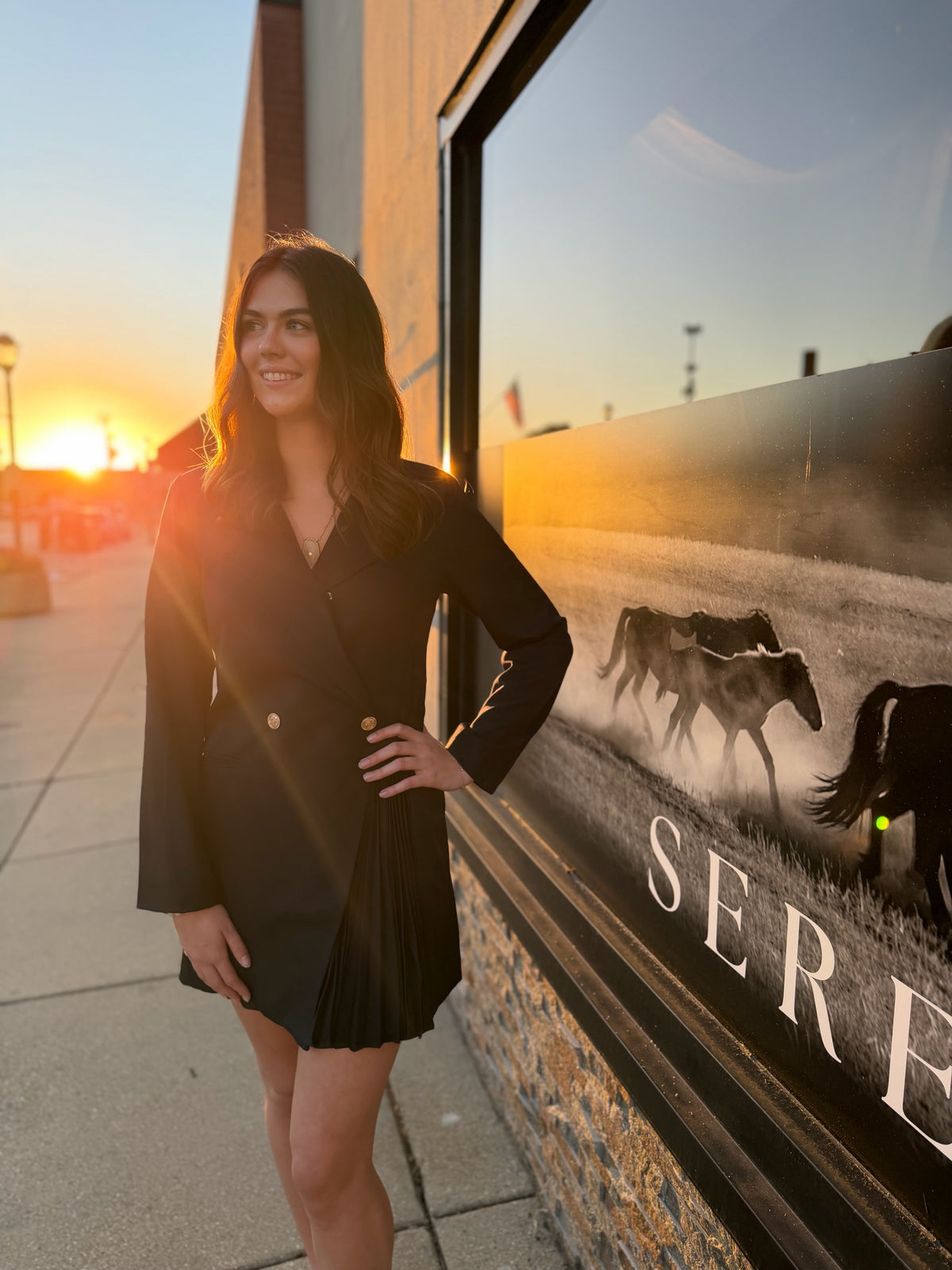 Pens Blazer Dress