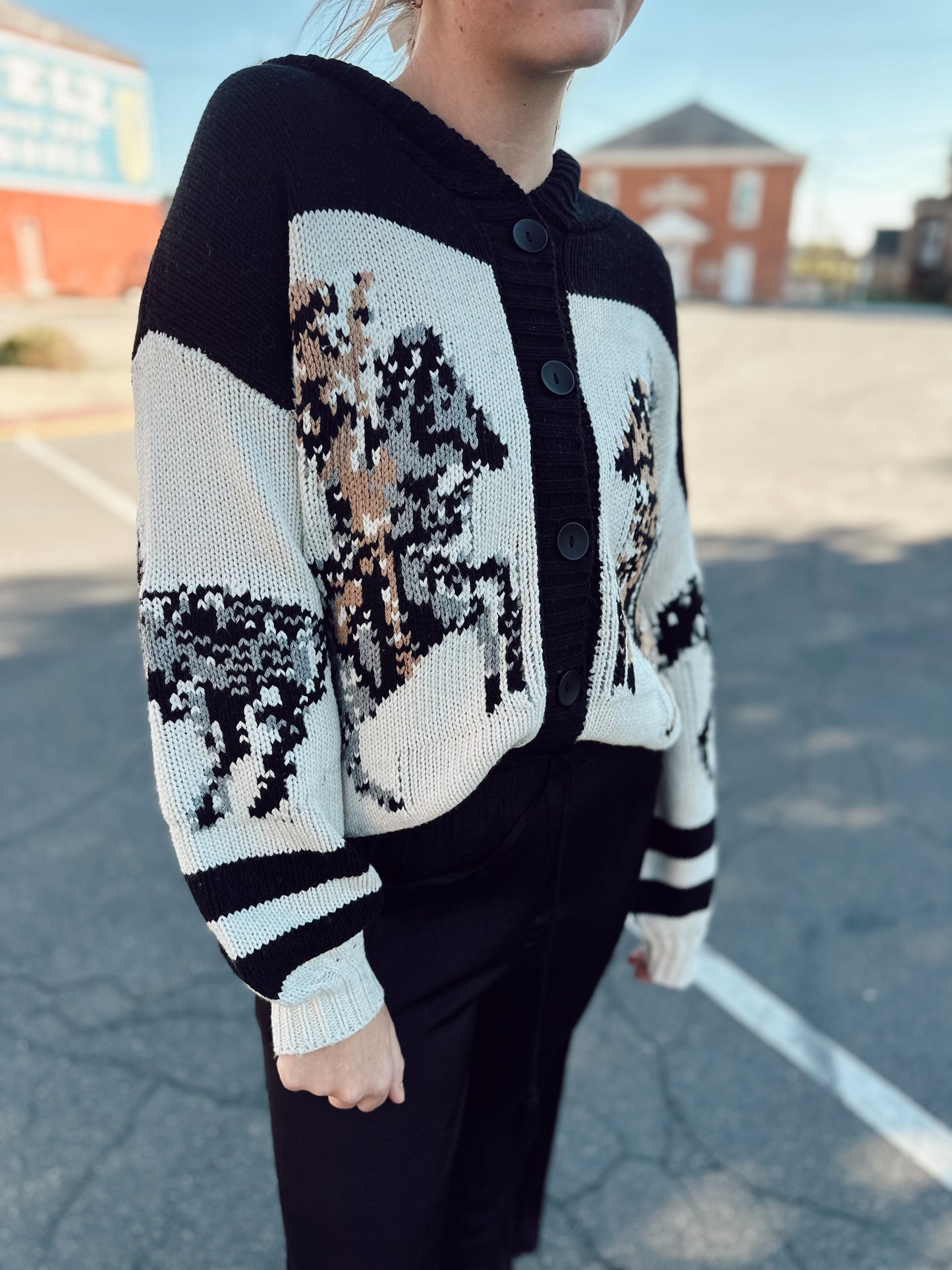 The Absarokee Cardigan