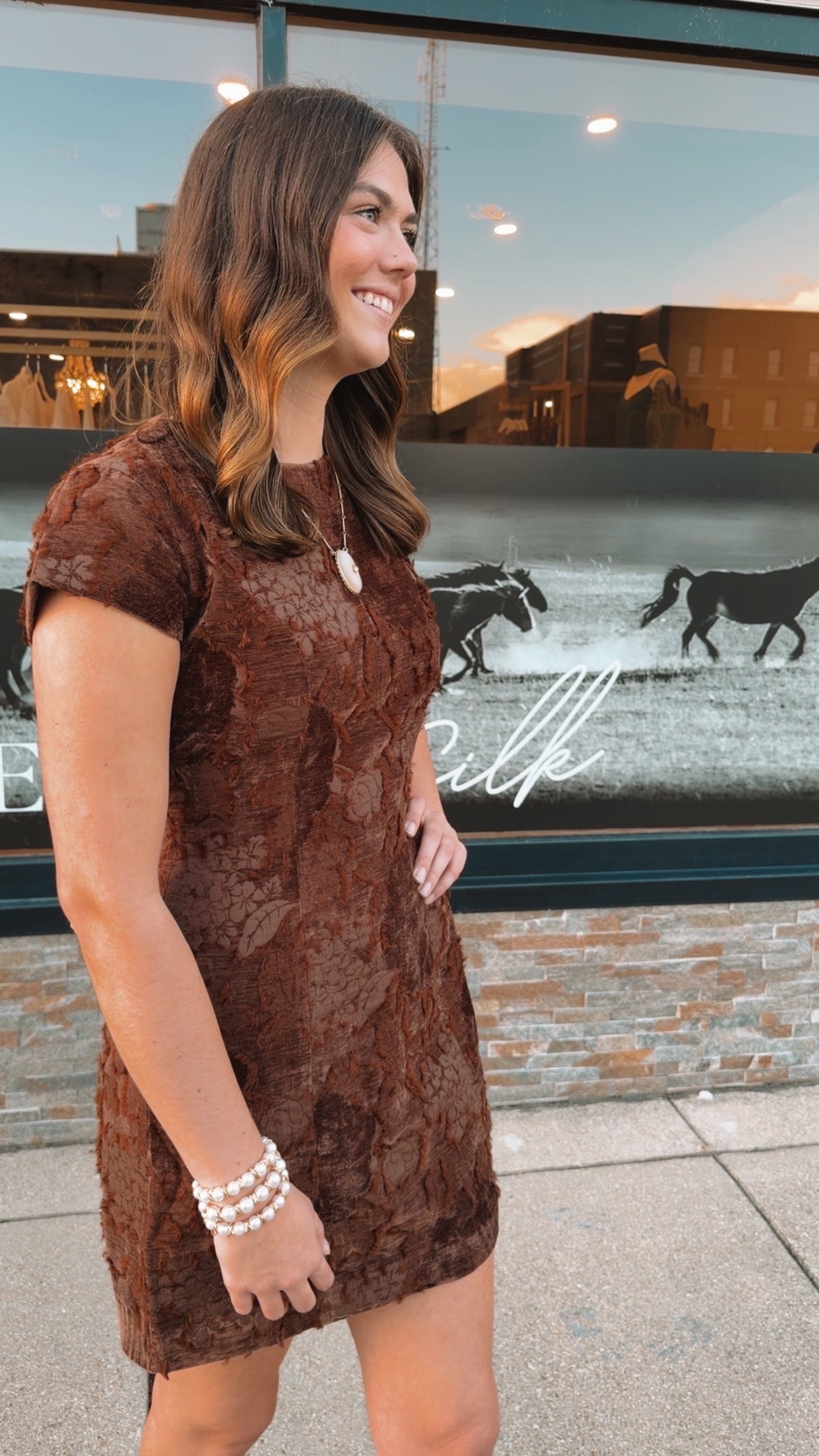 The Wexford Velvet Dress