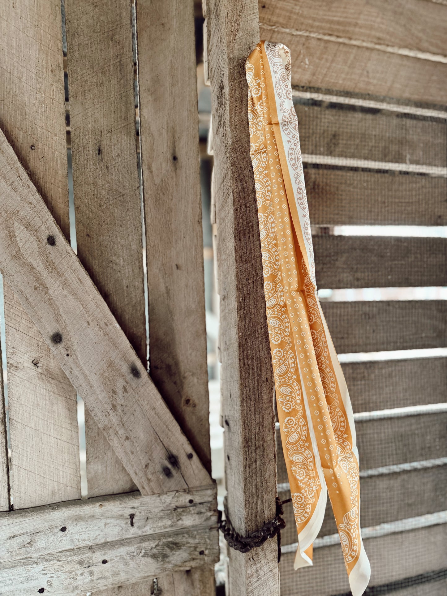 The Heirloom Tie : Golden Mesa